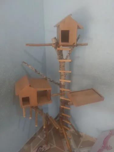 Vendo casinha para aves