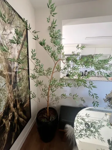 Vaso bambu dormente 