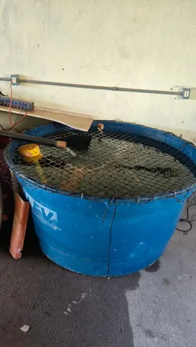 Caixa dagua completa para peixes