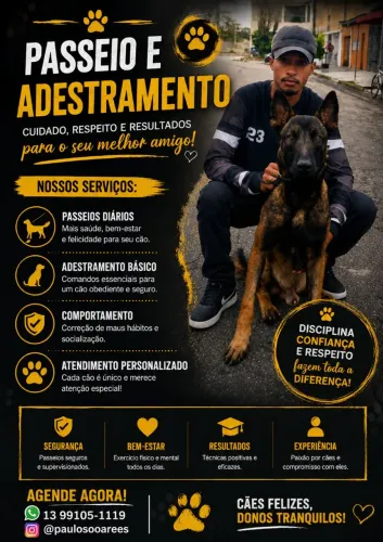 Adestramento e passeio