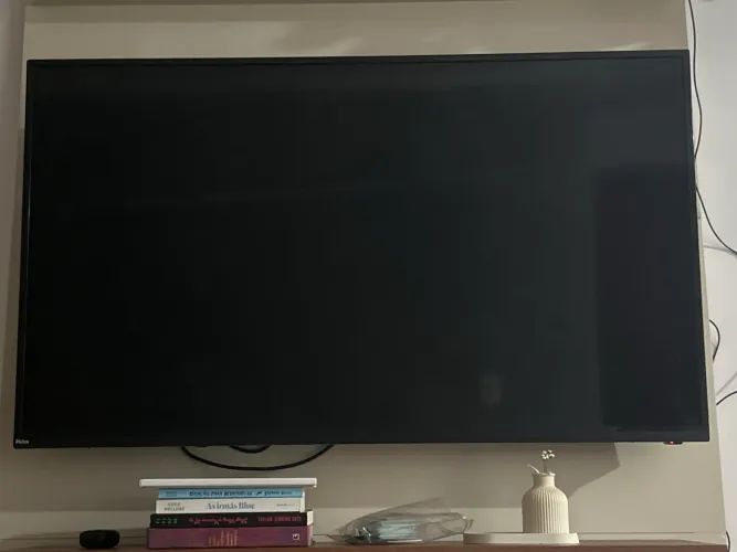 Tv Philco 49 polegadas - em perfeito estado