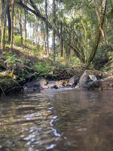TERRENO RURAL em CAMPO ALEGRE - SC, Serrinha