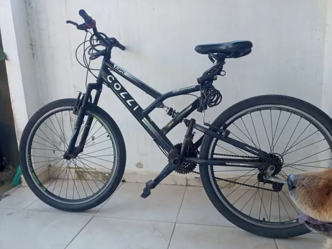 Bicicleta