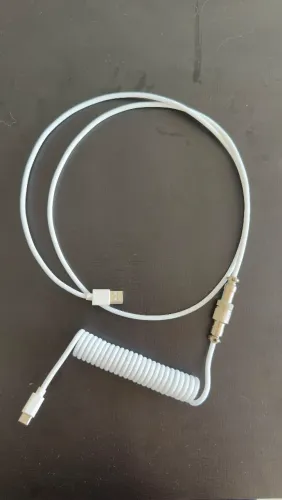 Cabo coilid