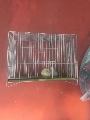 Gaiola para Pássaros Grande em Bom Estado