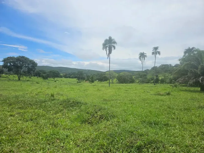 Fazenda a venda para cria e engorda com 17 alqueires no município de Jandaia - Goiás