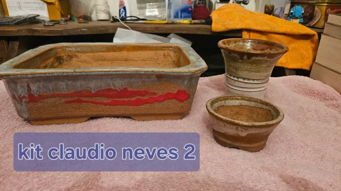 Kit vasos bonsai cerâmica Claudio Neves 2