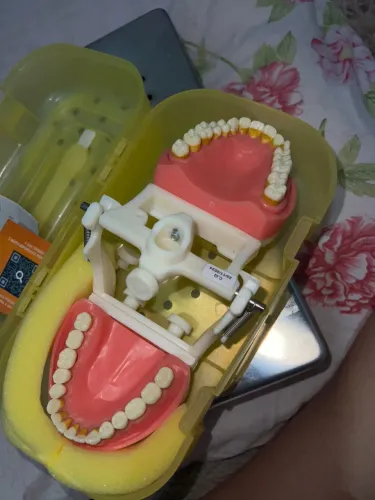 Manequim Articulado Universal Top Dentística Pd100 Pronew