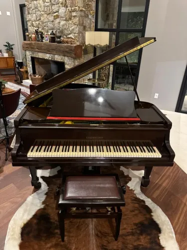  Piano Essenfelder