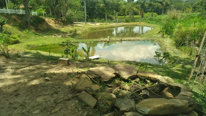 Chacara rica em água em tuiuti sp aceita proposta direto com Proprietário * i sp