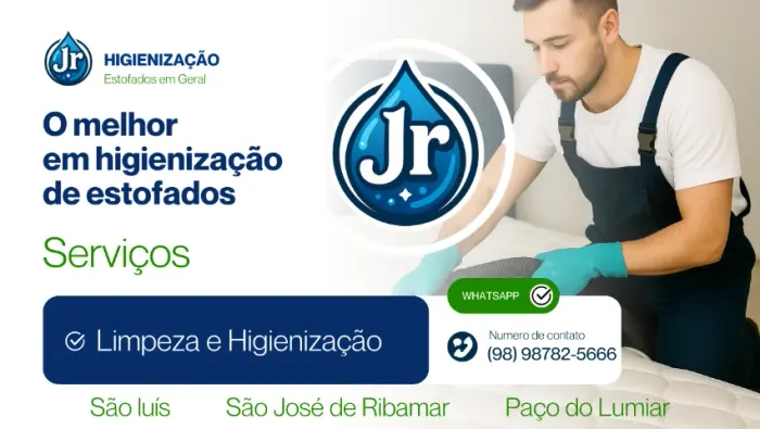 Limpeza e higienização de cama e sofá.