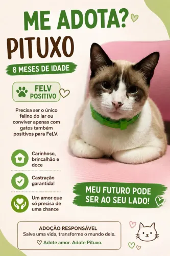 Adoção Responsável