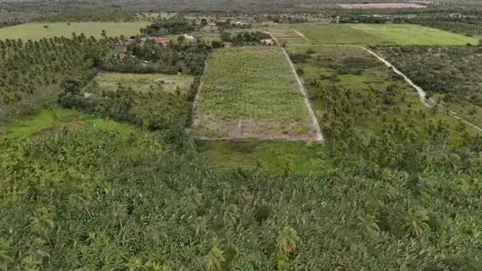 Granja com 12 hectares em punau