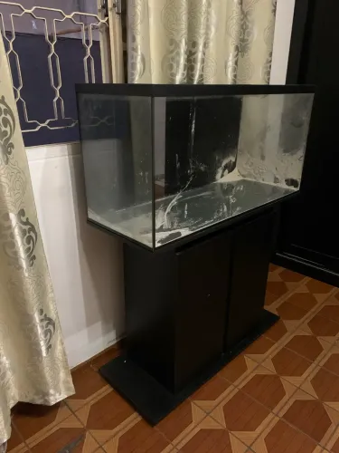 Vendo aquário usado( em ótimo estado) 1.000