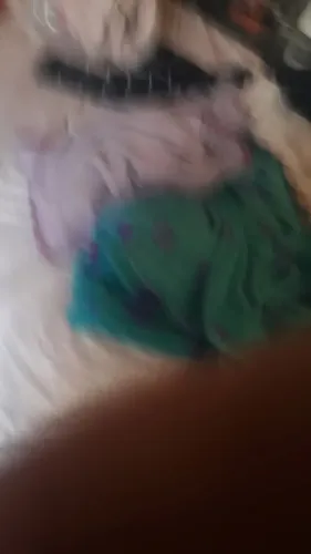 Iguape