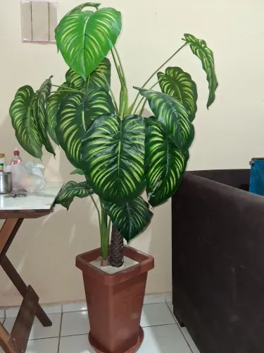 Estou vendendo um jarro de comigo ninguém pode artificial 