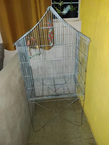 Gaiola 