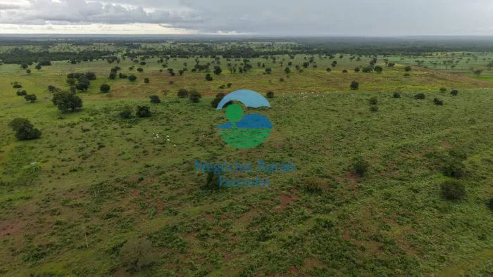 Fazenda 203 Alqueires ou 983 hectares em São Miguel do Araguaia -GO