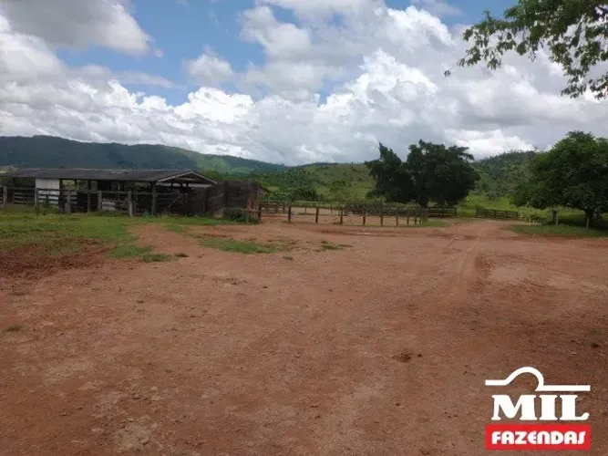 Fazenda em São Felix do Xingu-PA. 5.005 Há. (Soja ou Boi)