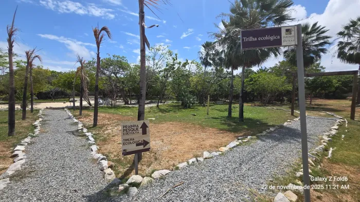 Lote Jardins das Dunas Eusébio