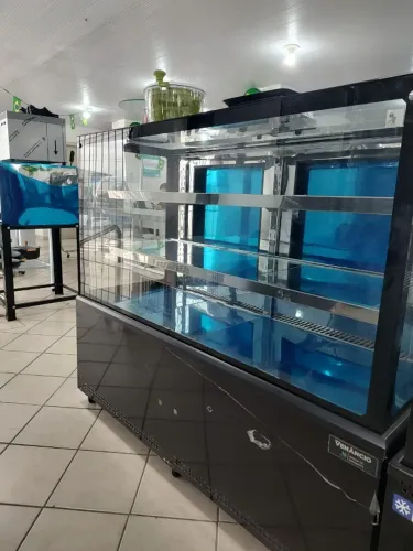 A.L Vitrine Venâncio Prime Refrigerado