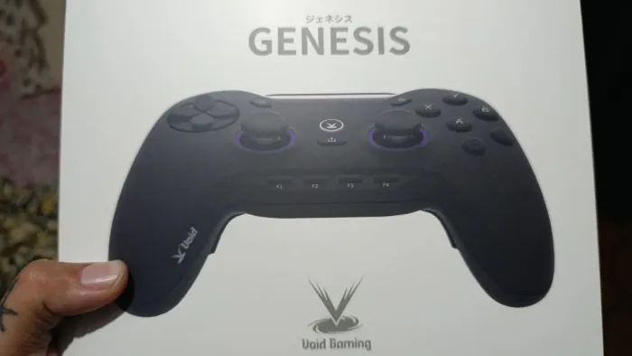 Void Genesis