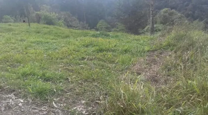 Terreno em rio dos cedros próximo a barragem pinhal