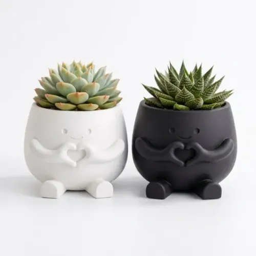 Vaso Decorativo Boneco de Suculenta