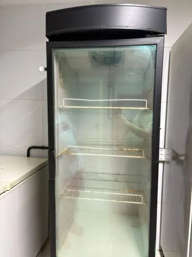 Frizzer 500 litros brastemp