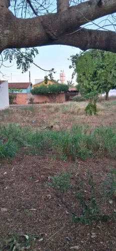 Vende-se ótimo terreno em São Lourenço do Turvo