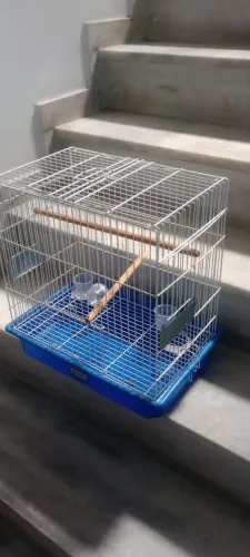 Gaiola para pássaros