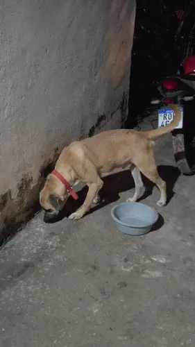 Para doação 