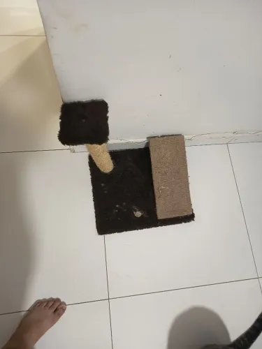 Arranhador pequeno