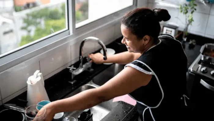Domestica para trabalhar no Recreio, Jardim Botanico, Copacabana e Flamengo