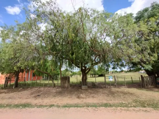 Terreno Padrão em Bagé