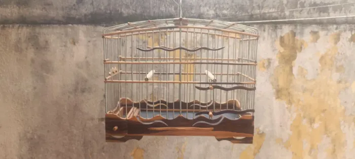 VENDO CAMPEIRA PARA PASSAROS DE MÉDIO A PEQUENO PORTE
