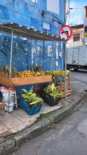 Vendo barraca de frutas