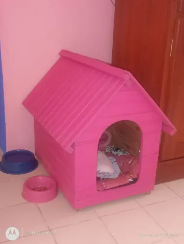 Casinha para gato ou pet forte pequeno