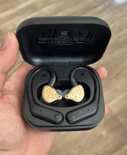 FONE KZ ZSN PRO 2 + KZ AE01