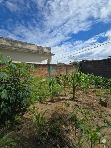 Terreno com ótima localização na Vila Nunes Lorena-SP