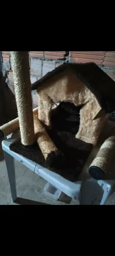 Arranhador para gato