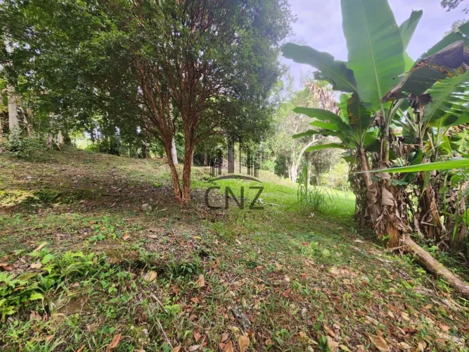 Terreno à venda em Brusque-SC, bairro Tomaz Coelho com 4.820,00 m² de área disponível!