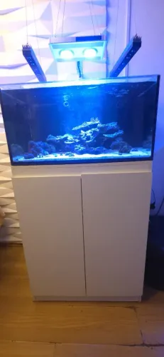 Aquário Marinho completo
