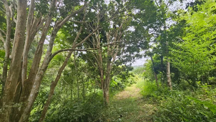 20 de entrada 1200 por mes lago proprio