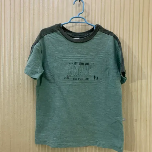 Camiseta Hering Verde