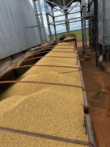 Fazenda espetacular 13.800 Hectares a venda na região do Xingu MT!
