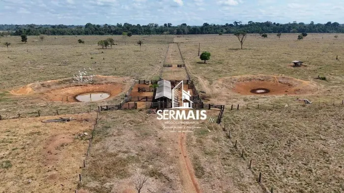 FAZENDA À VENDA SÃO DOMINGOS DO GUAPORÉ (RO)
