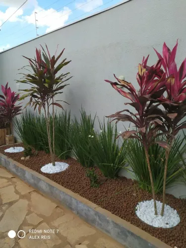 Paisagismo em geral