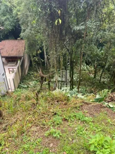 Terreno à Venda no Lírios do Campo IV | 444m²