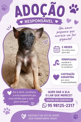 Filhote para adoção